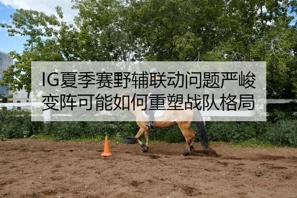 IG夏季赛野辅联动问题严峻 变阵可能如何重塑战队格局